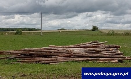 Ukradł fragment ogrodzenia z pól Grunwaldzkich - fot. KPP w Ostródzie