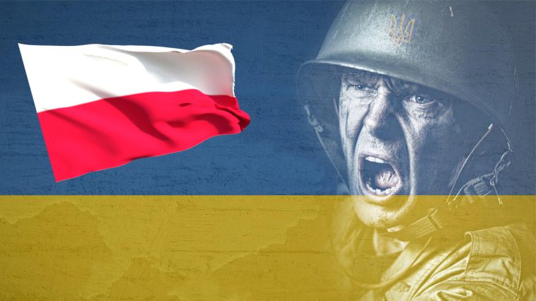 Polak zginął na wojnie w Ukrainie - fot. Pixabay @ELG21