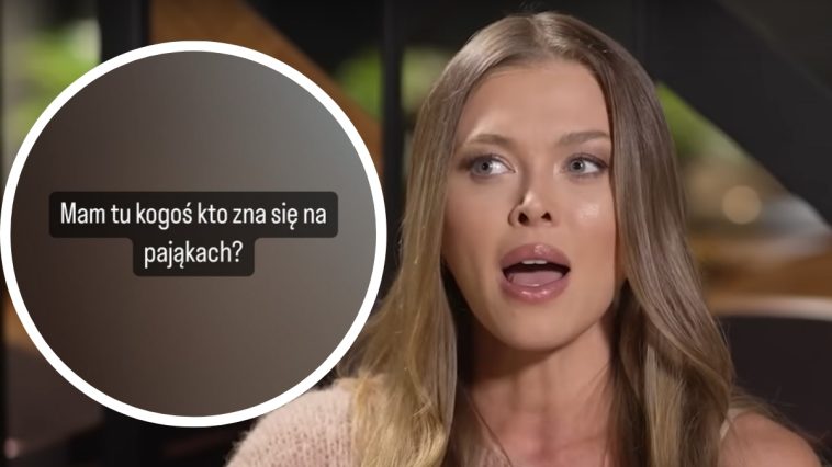 Joanna Opozda - fot. screenshot YouTube @wp-pl